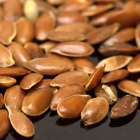 Семена льна для похудения: используйте с оглядкой 