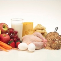 белковая диета достоинства недостатки польза