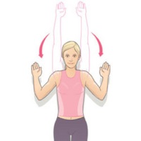 упражнения на растяжку мышц спины