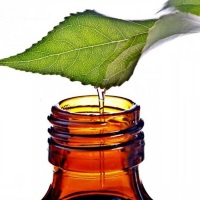 лечение маслом чайного дерева