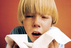 Десять мифов о простуде