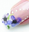 Дизайн ногтей с сухоцветами 