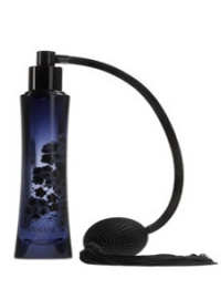 Armani Code Pour Femme