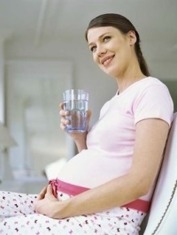 хофитол при беременности